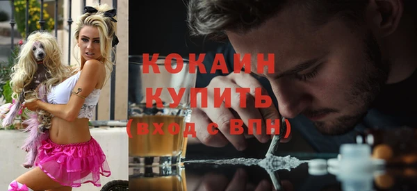 ГАЛЛЮЦИНОГЕННЫЕ ГРИБЫ Белокуриха