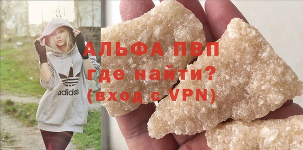 ГАЛЛЮЦИНОГЕННЫЕ ГРИБЫ Белокуриха