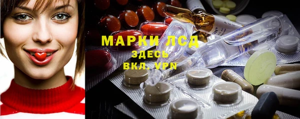 ГАЛЛЮЦИНОГЕННЫЕ ГРИБЫ Белокуриха