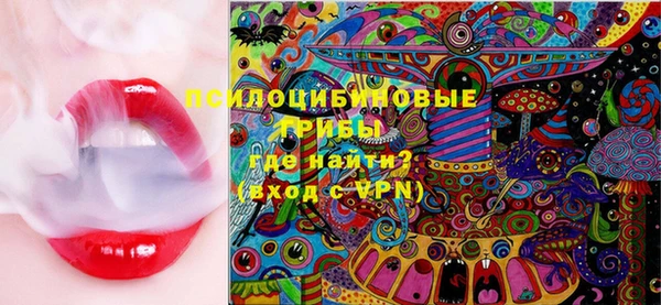 ГАЛЛЮЦИНОГЕННЫЕ ГРИБЫ Белокуриха