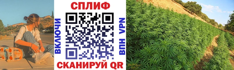 хочу наркоту Реутов нарко площадка наркотические препараты Шишки марихуана Amnesia